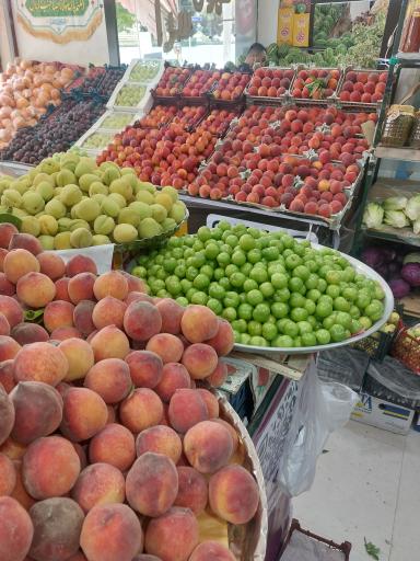 عکس میوه سرای الغدیر