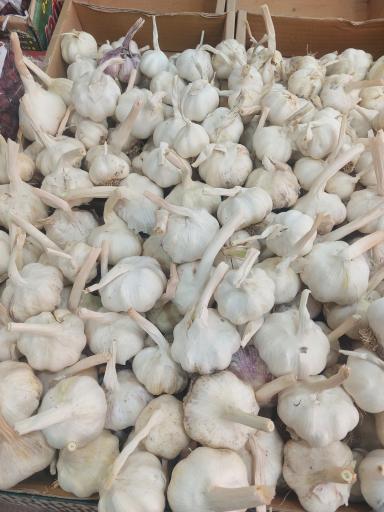 میوه سرای الغدیر