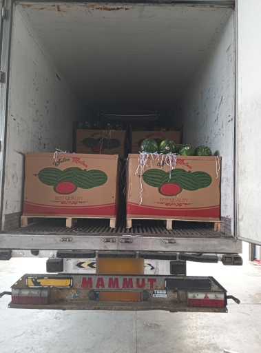 عکس سردخانه و سورتینگ سهرابی