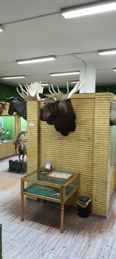 عکس موزه حیات طبیعی