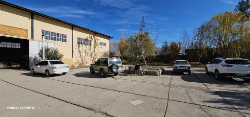 عکس کارخانه تندیس چوب دنا