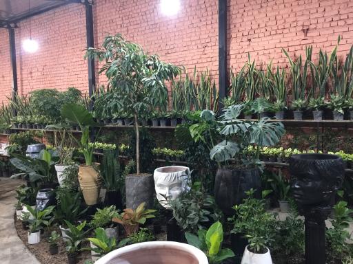 عکس باغ شقایق