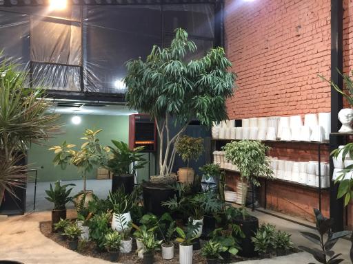 عکس باغ شقایق