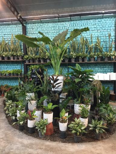 عکس باغ شقایق