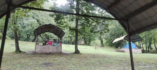 عکس پارک جنگلی جوارم