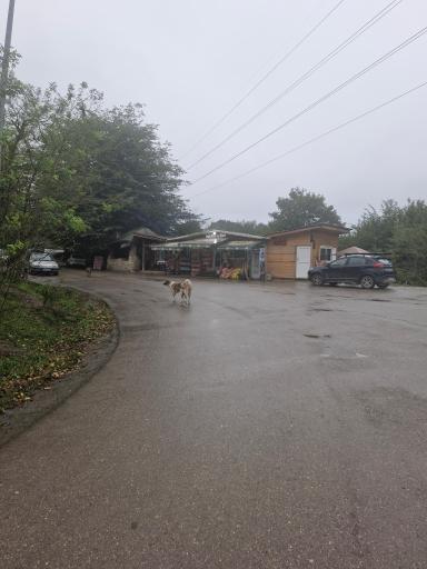 عکس پارک جنگلی جوارم