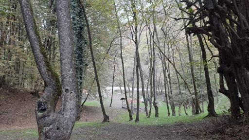 عکس پارک جنگلی جوارم