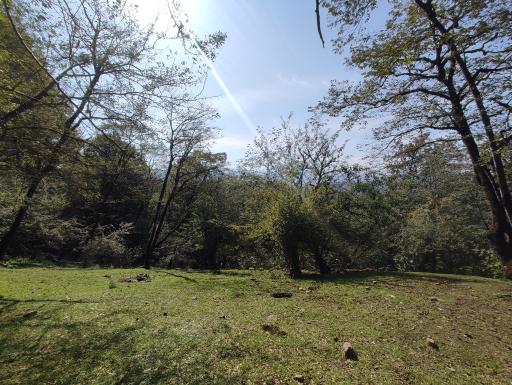 عکس پارک جنگلی جوارم