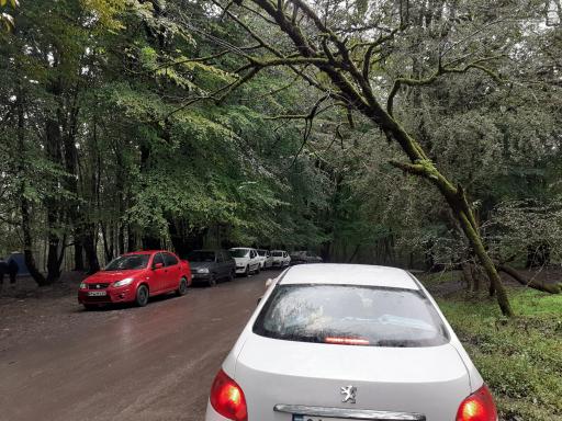 عکس پارک جنگلی جوارم