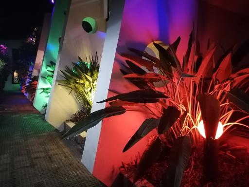 عکس هتل گل شباهنگ