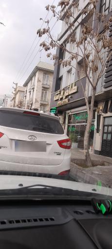 عکس طباخی فرشته