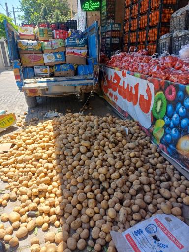 عکس میوه سرای بزرگ قیمت شکن