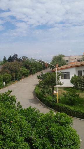 عکس پارک چمن