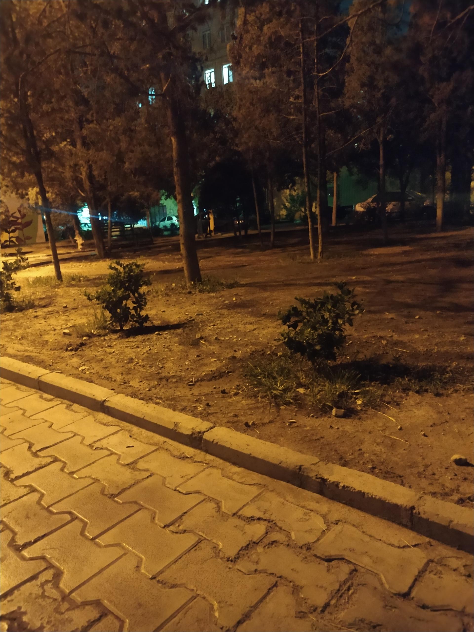 عکس پارک