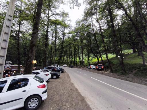 عکس جنگل دالخانی