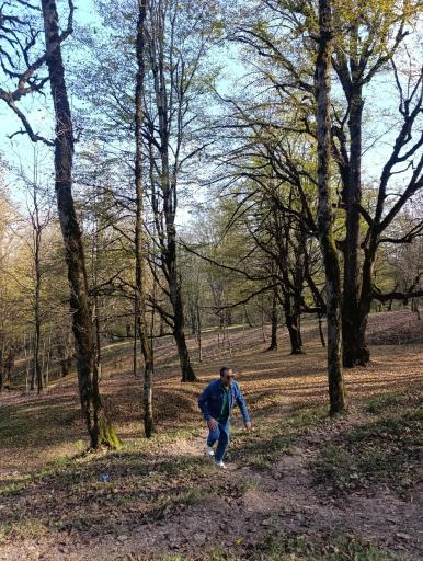 عکس جنگل دالخانی