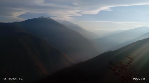 عکس جنگل دالخانی