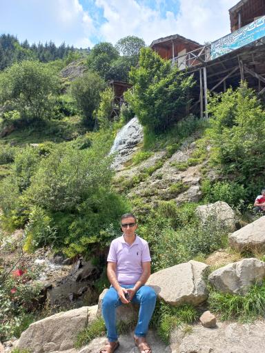 عکس جنگل دالخانی