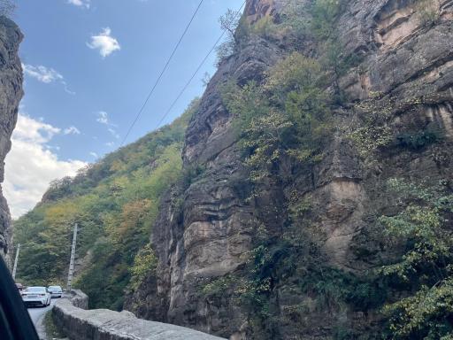 عکس جنگل دالخانی
