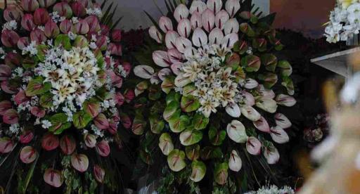 عکس گل فروشی نیلوفر