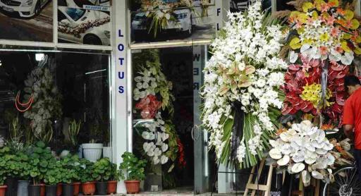 عکس گل فروشی نیلوفر