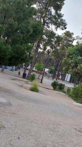 عکس پارکینگ تخت جمشید