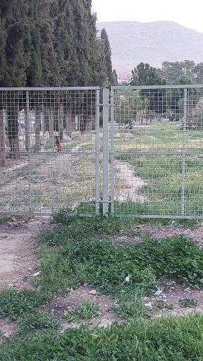 عکس پارکینگ تخت جمشید