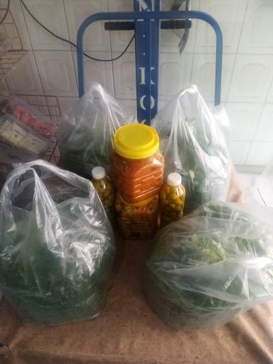 عکس کلبه.سبز.بانو