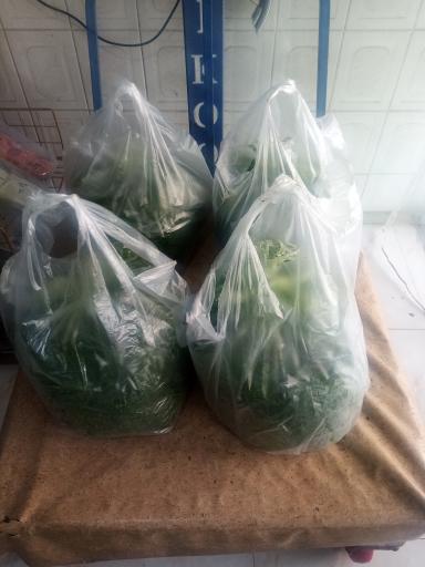 عکس کلبه.سبز.بانو