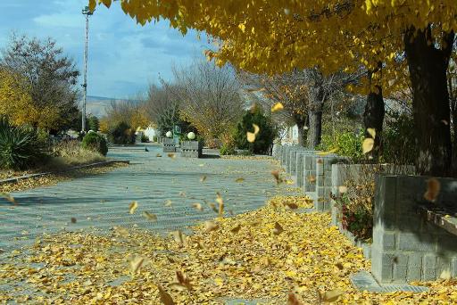 عکس دانشگاه کوثر بجنورد ویژه خواهران