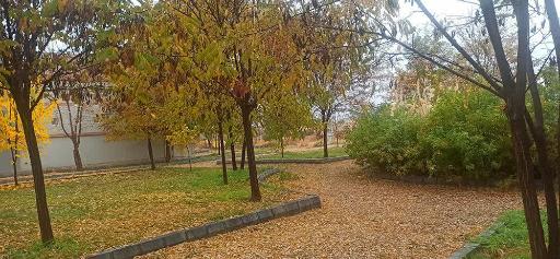 عکس دانشگاه کوثر بجنورد ویژه خواهران