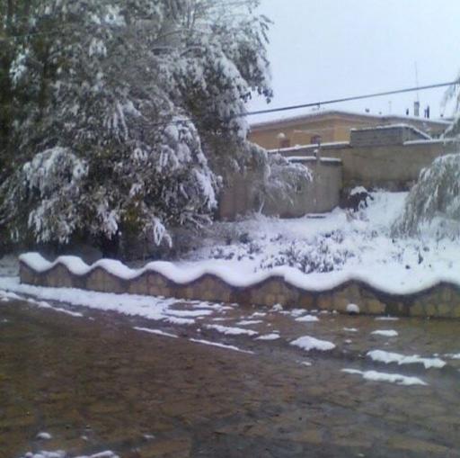عکس حفظ آباد