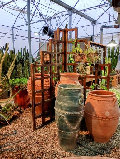 عکس گلخانه گل آذین