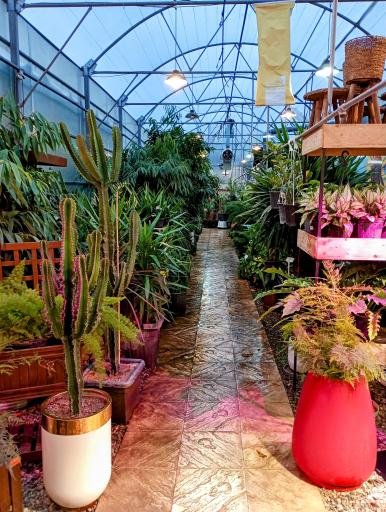 عکس گلخانه گل آذین