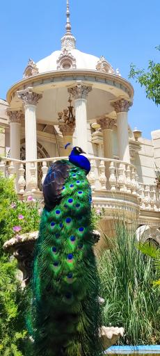 باغ تالار پرنس