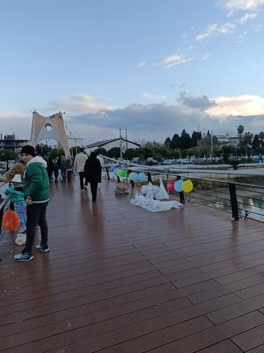 پل کابلی بابلسر