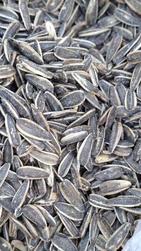 لبنیات و ترشیجات دهکده