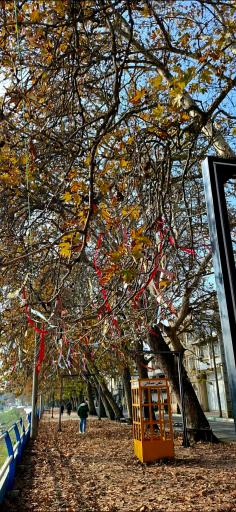 عکس پل کابلی بابلسر