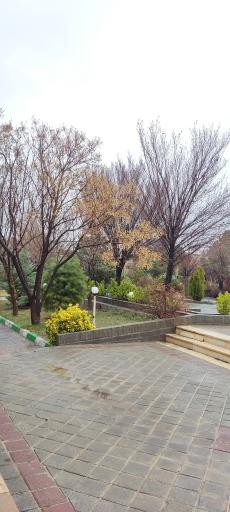 عکس دانشگاه کوثر بجنورد ویژه خواهران