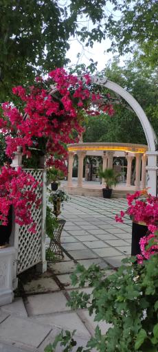 عکس رستوران و کافه باغ پرنس