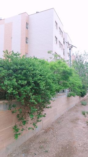 عکس مجتمع گلستان 2