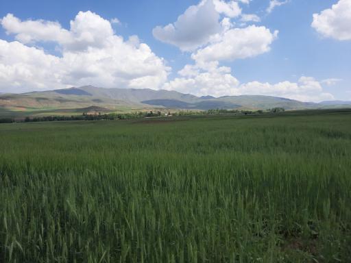 عکس حفظ آباد
