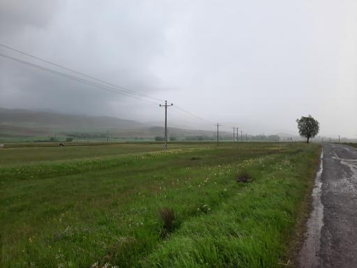 عکس حفظ آباد