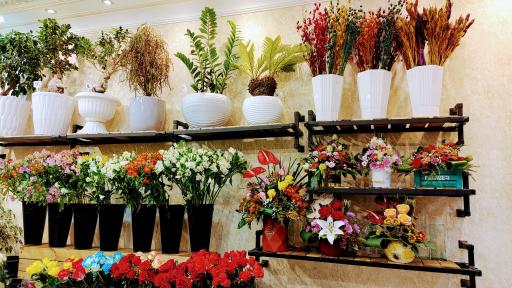 عکس فروشگاه شهر گل