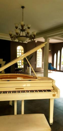 باغ عمارت عروس شکاری