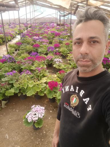 عکس گلفروشی قم گل