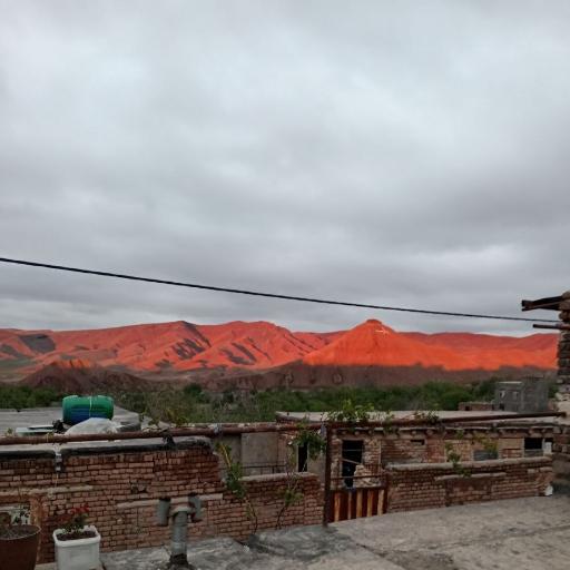 عکس سرغایه