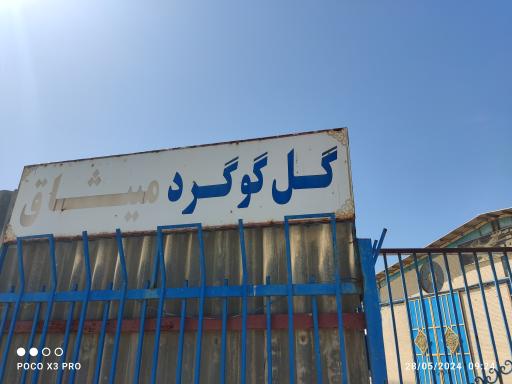 عکس شرکت گل گوگرد میثاق
