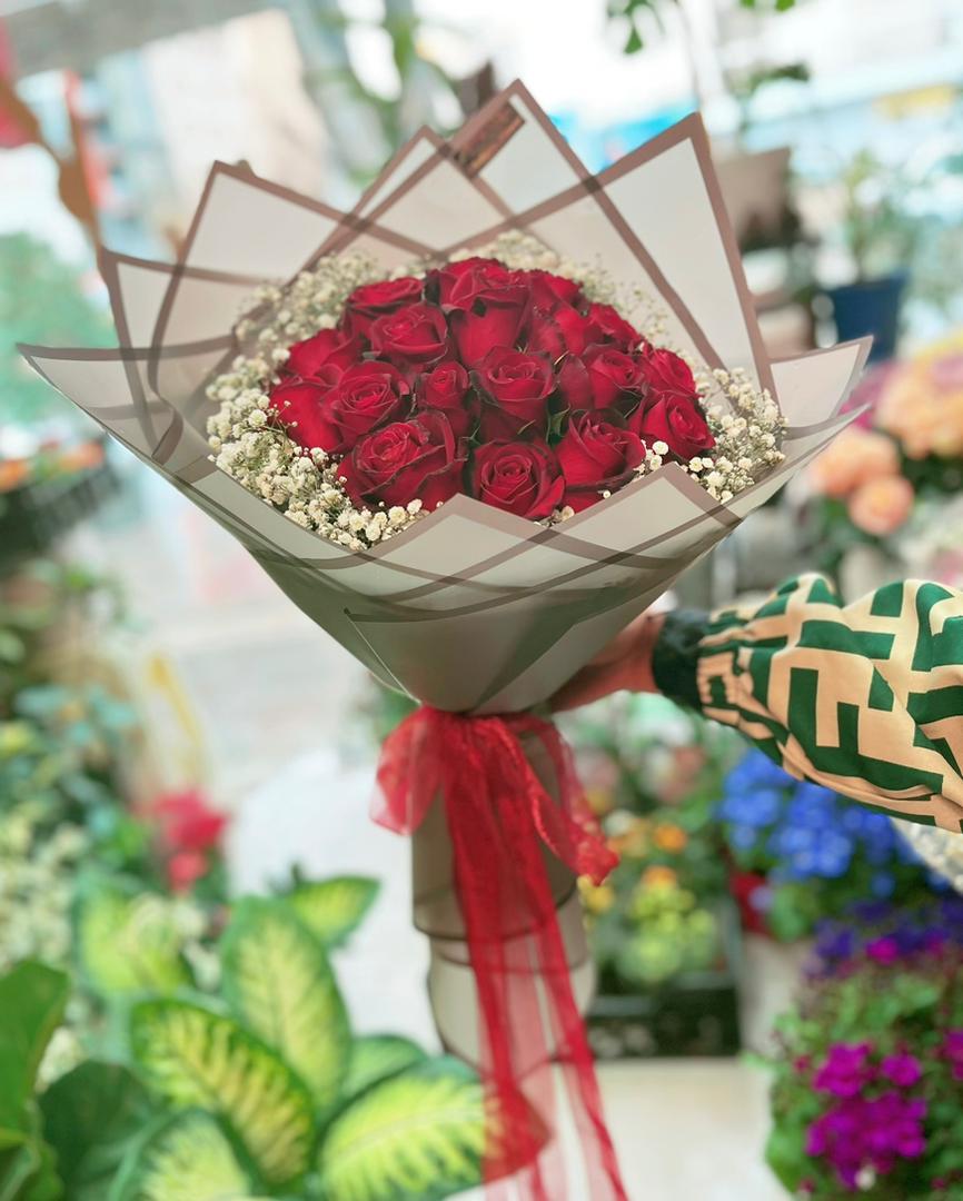 عکس گل گلیسو 