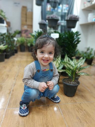 عکس گل فروشی باغ شیشه